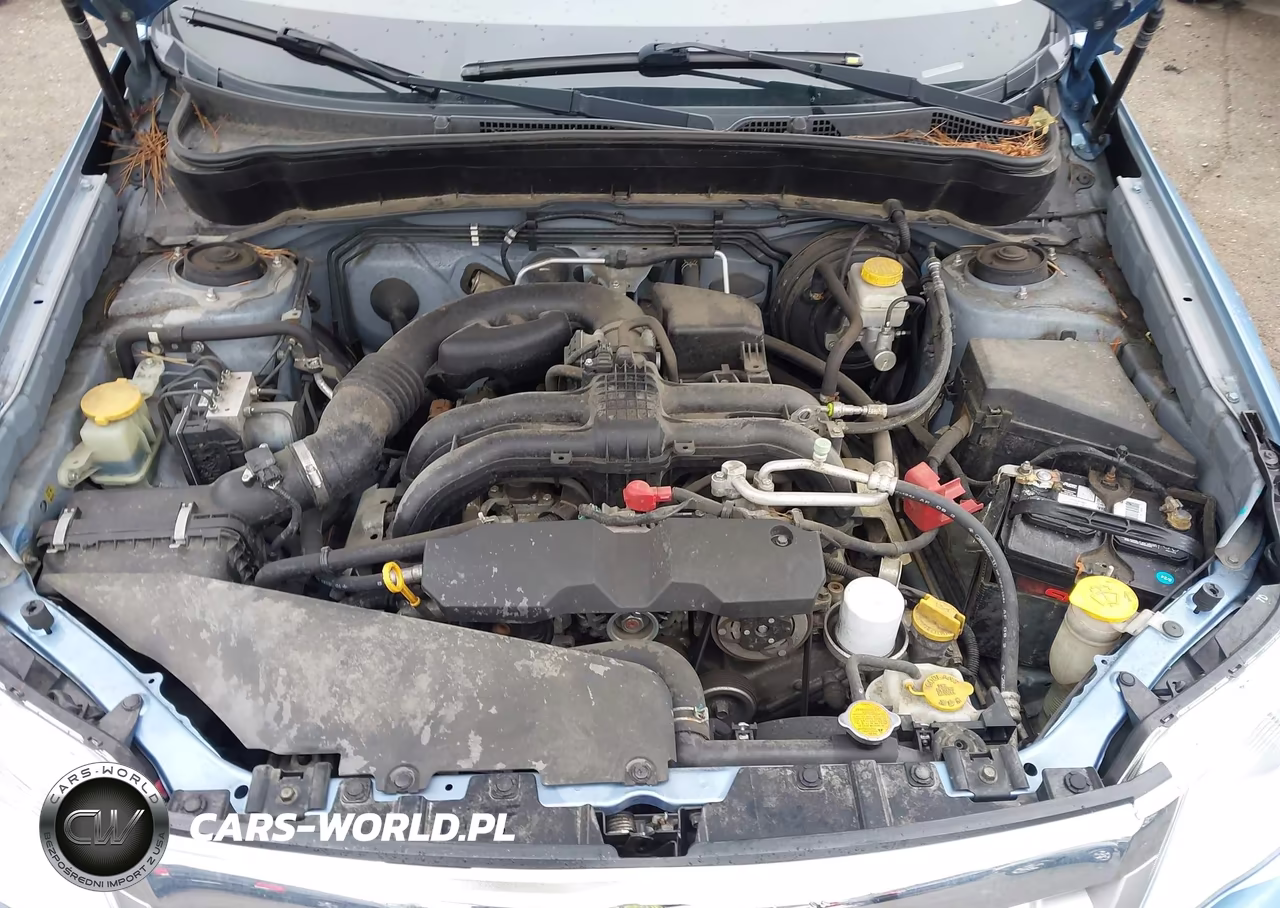 2011 Subaru Forester 2.5X Premium VIN:JF2SHADCXBH774483 - 10
