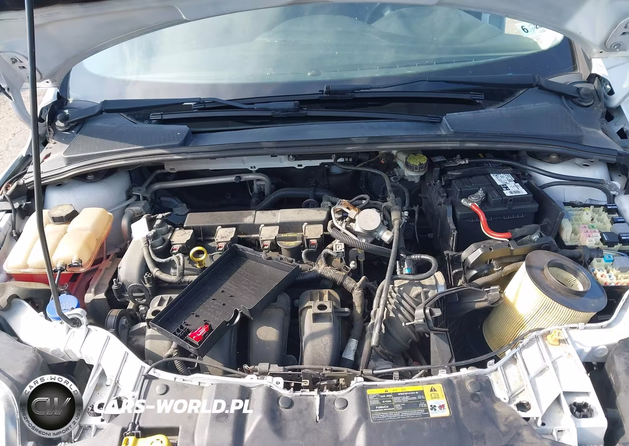 2014 Ford Focus Se VIN:1FADP3F26EL330941 - 10