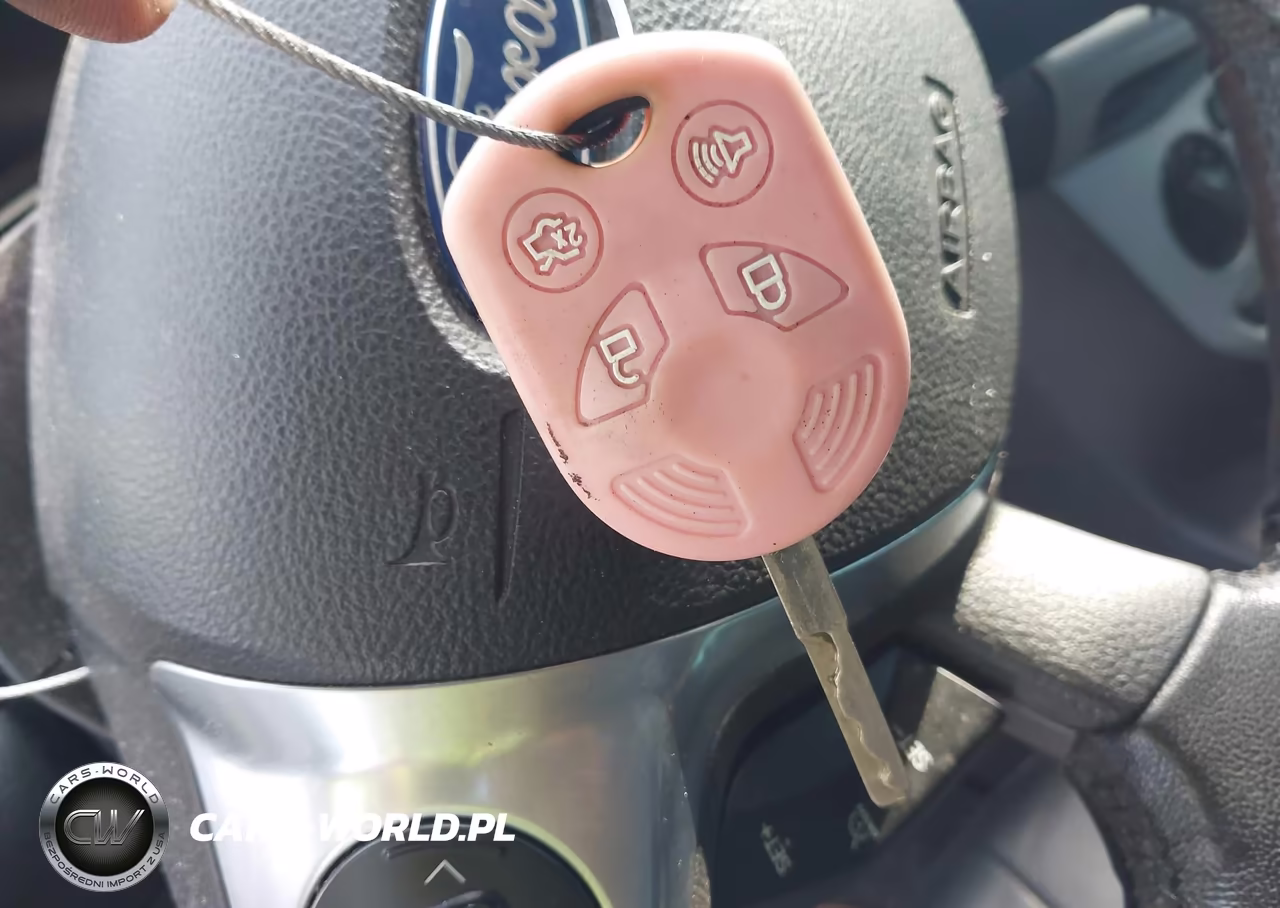 2014 Ford Focus Se VIN:1FADP3F26EL330941 - 11