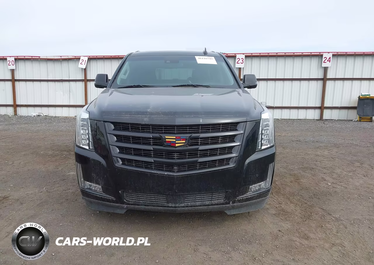 2018 Cadillac Escalade Esv Premium Luxury VIN:1GYS4JKJ4JR346553 - 12