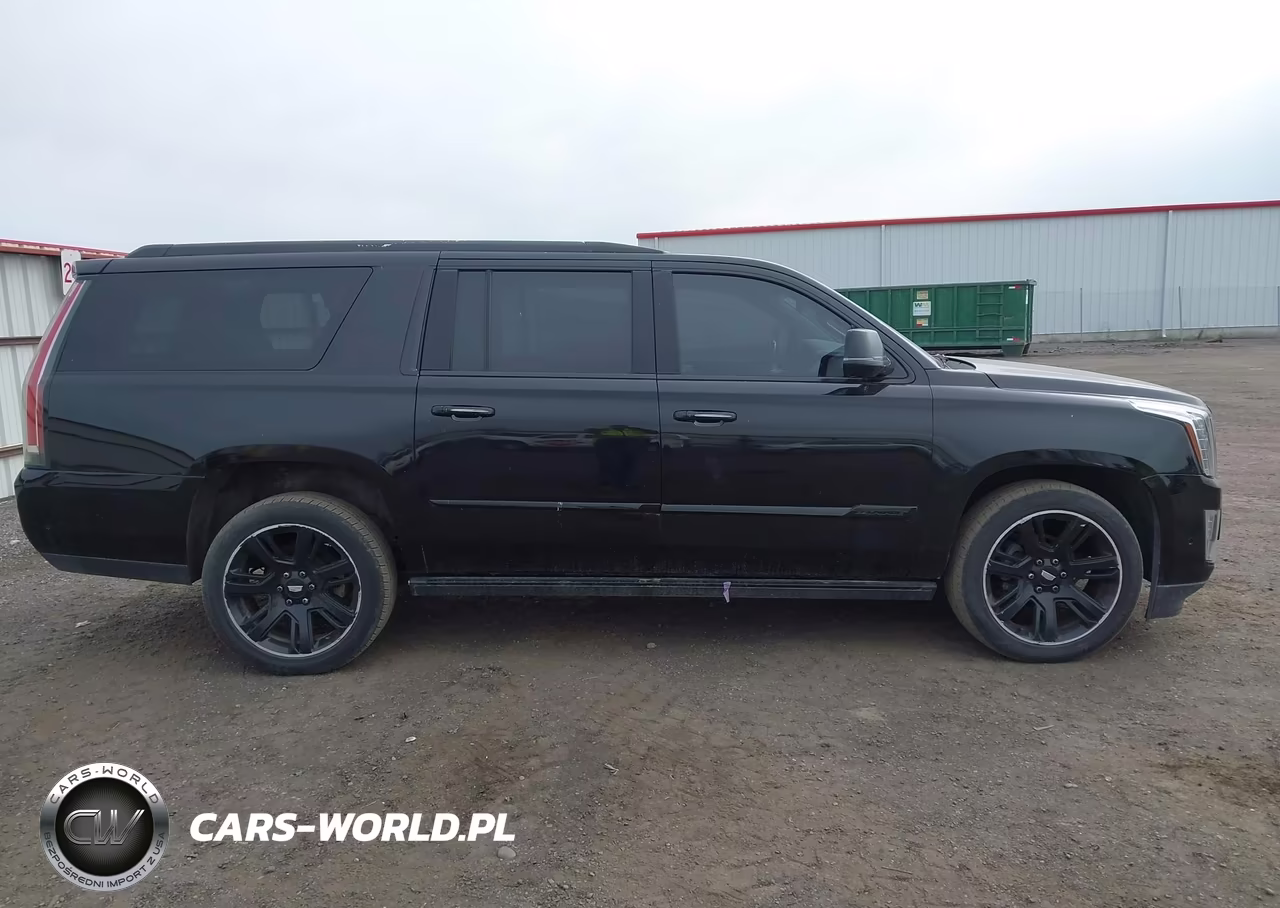 2018 Cadillac Escalade Esv Premium Luxury VIN:1GYS4JKJ4JR346553 - 13