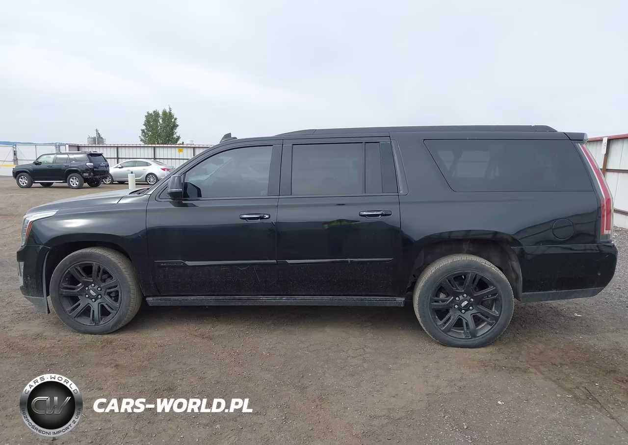2018 Cadillac Escalade Esv Premium Luxury VIN:1GYS4JKJ4JR346553 - 14