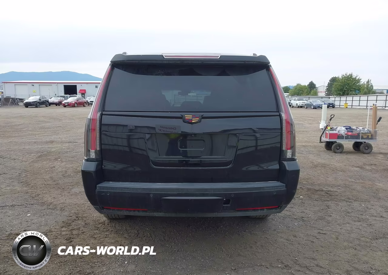 2018 Cadillac Escalade Esv Premium Luxury VIN:1GYS4JKJ4JR346553 - 16