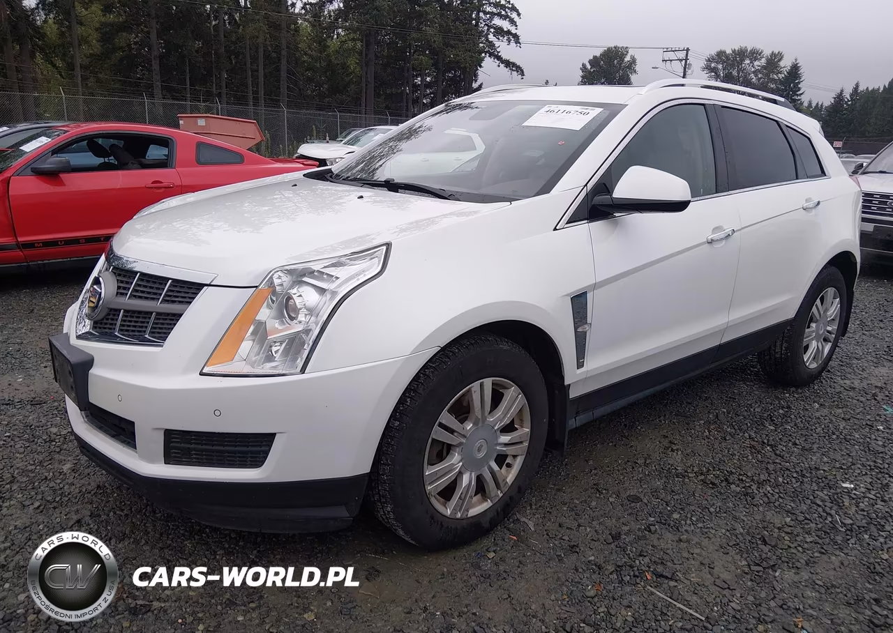 2011 Cadillac Srx Luxury Collection VIN:3GYFNDEY4BS515168 - 2