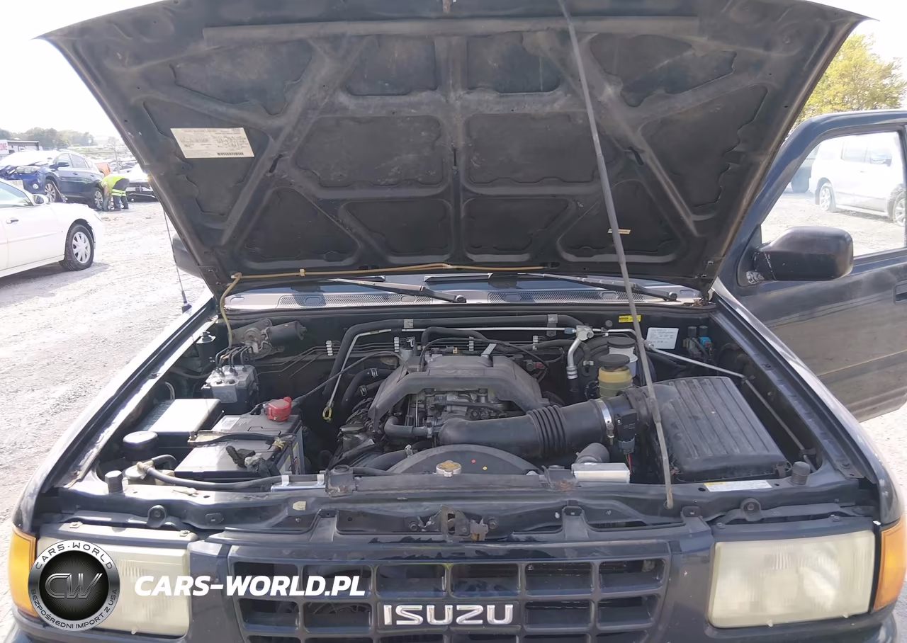 1999 Isuzu Rodeo Ls-Lse-S VIN:4S2CM58W4X4315026 - 10