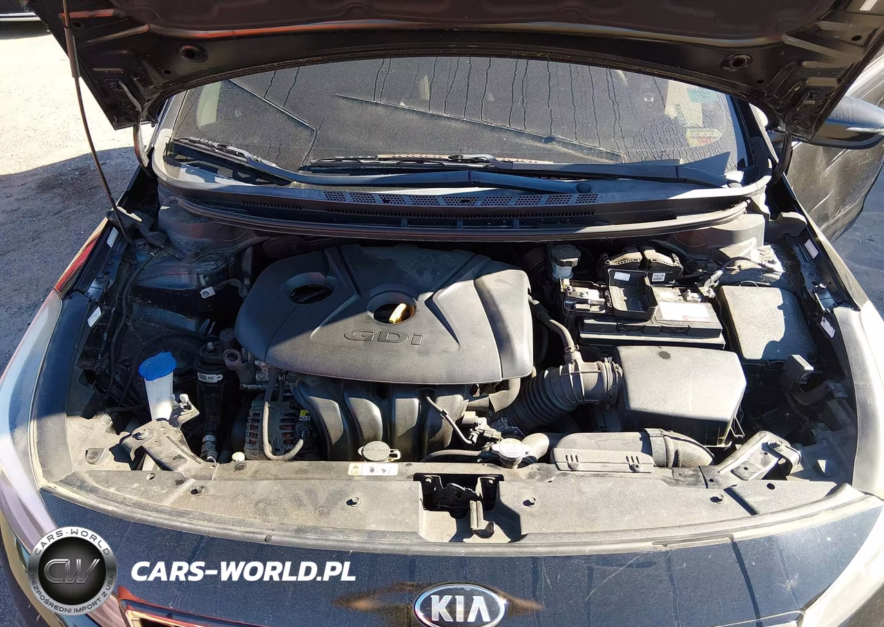 2017 Kia Forte Lx VIN:KNAFK5A87H5704357 - 10
