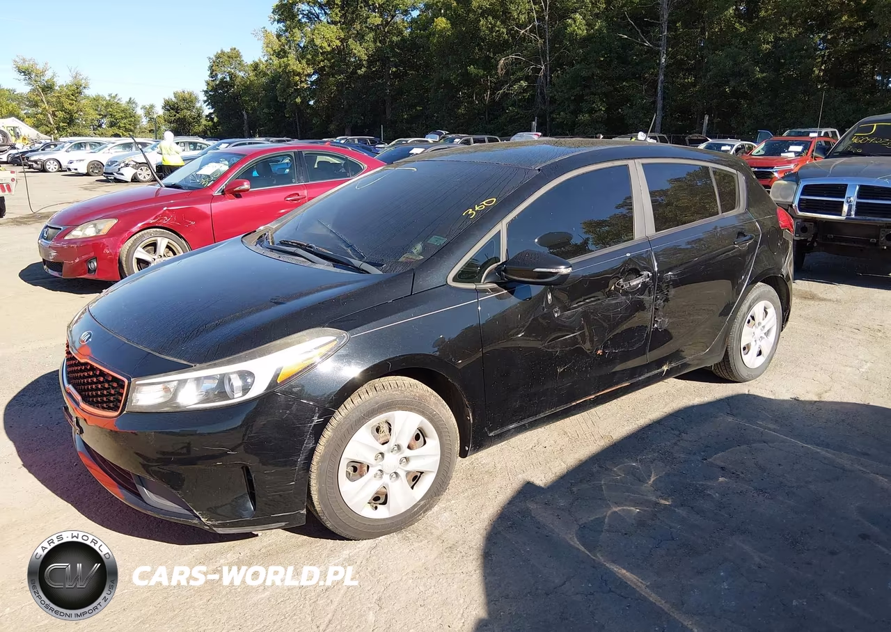 2017 Kia Forte Lx VIN:KNAFK5A87H5704357 - 2