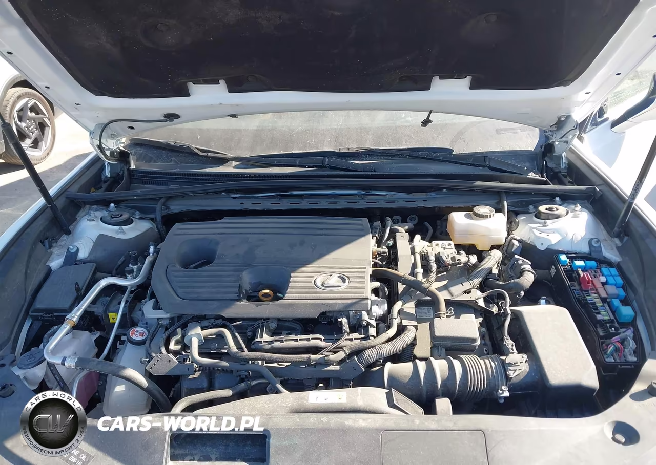 2025 Lexus Es 300H Luxury VIN:58AEA1C16SU069563 - 10