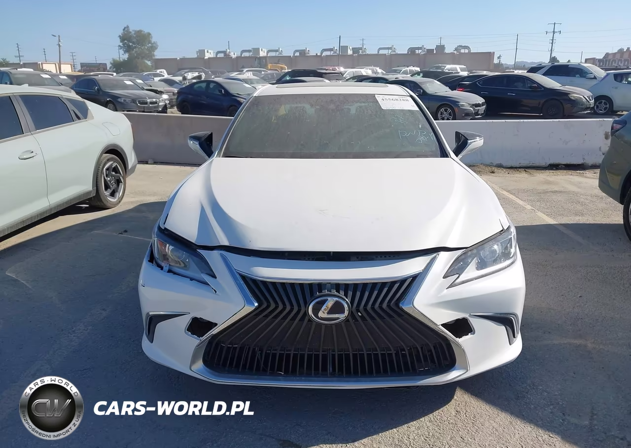 2025 Lexus Es 300H Luxury VIN:58AEA1C16SU069563 - 12