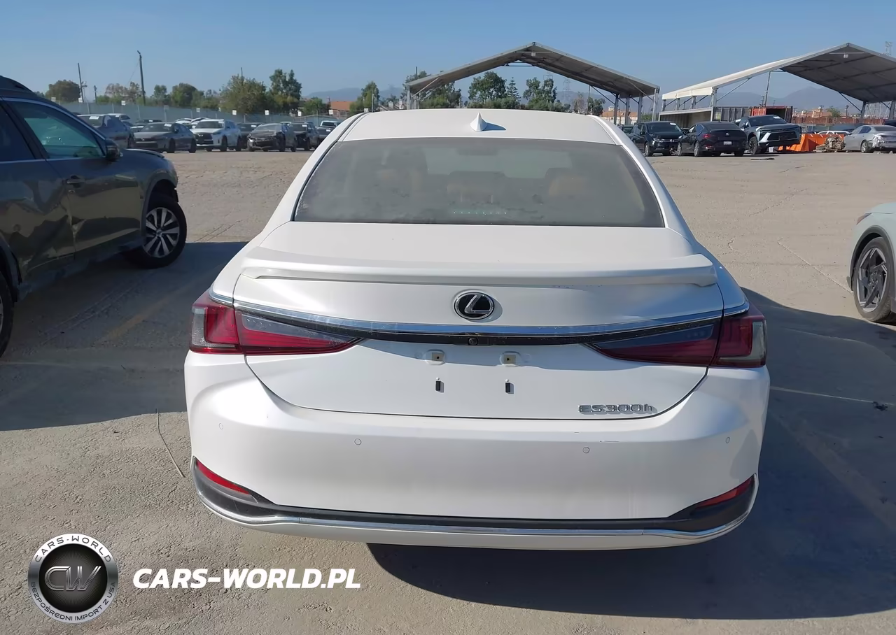2025 Lexus Es 300H Luxury VIN:58AEA1C16SU069563 - 16