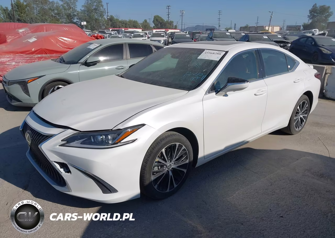 2025 Lexus Es 300H Luxury VIN:58AEA1C16SU069563 - 2