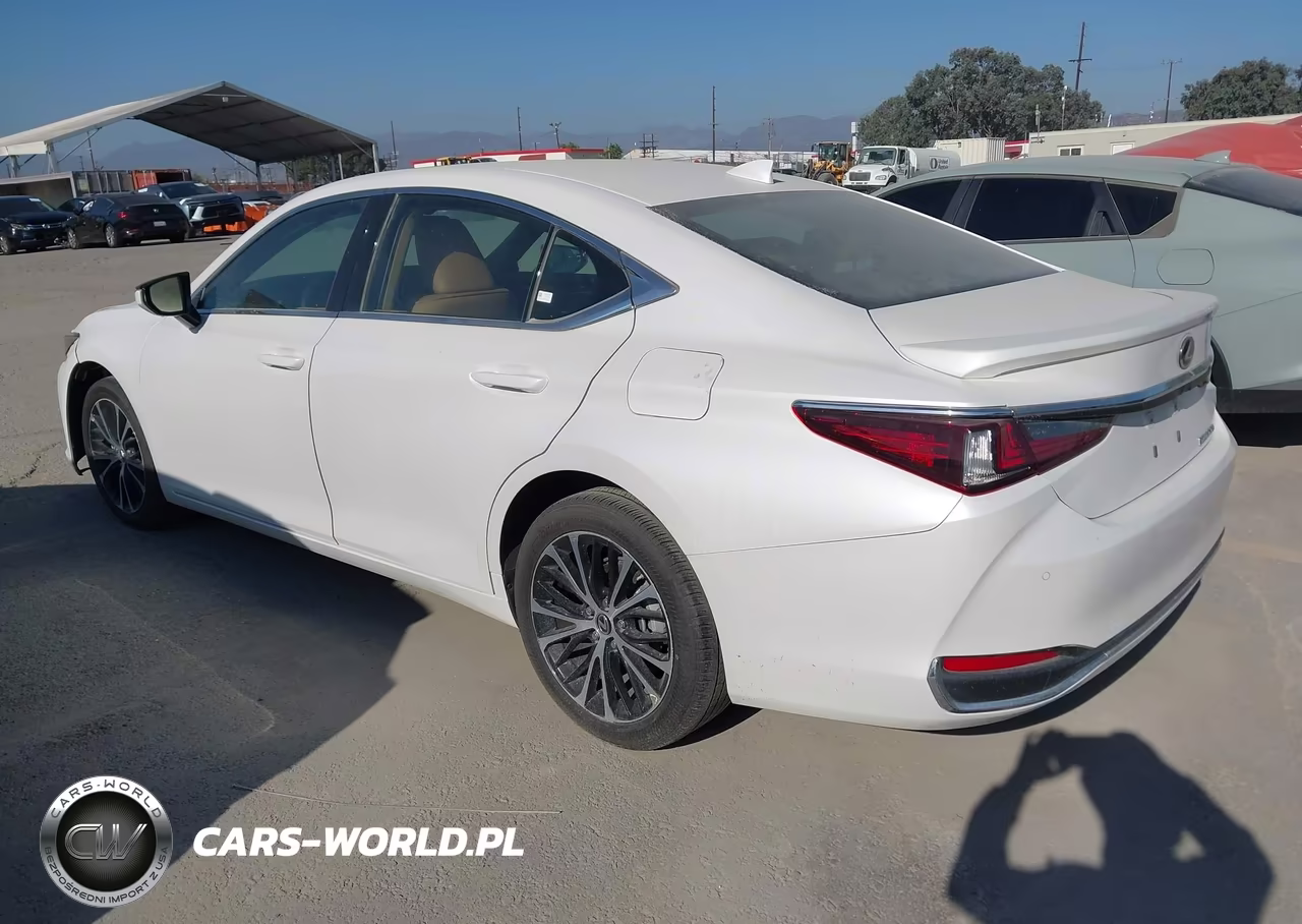 2025 Lexus Es 300H Luxury VIN:58AEA1C16SU069563 - 3