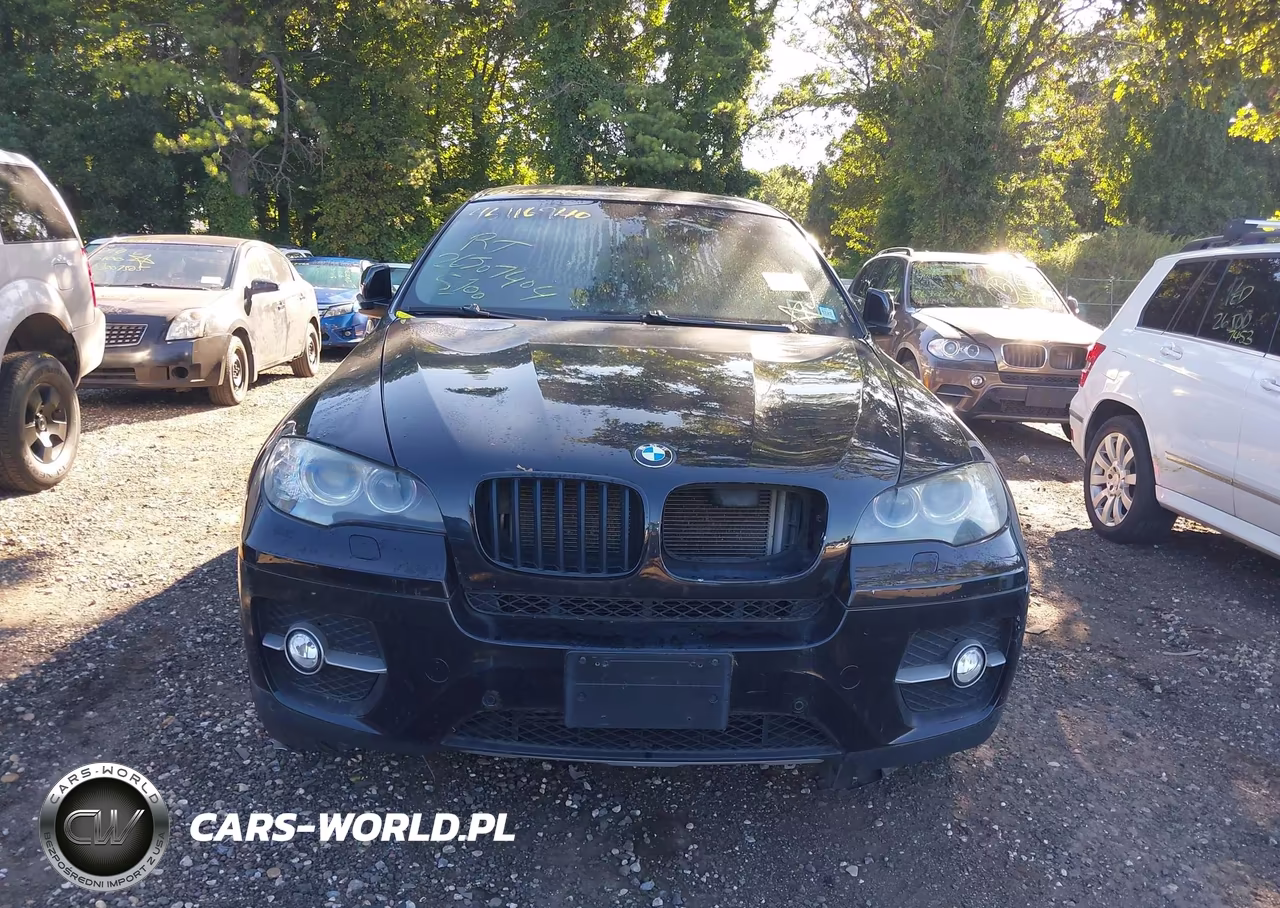 2011 BMW X6 xDrive35I VIN:5UXFG2C59BLX06781 - 11
