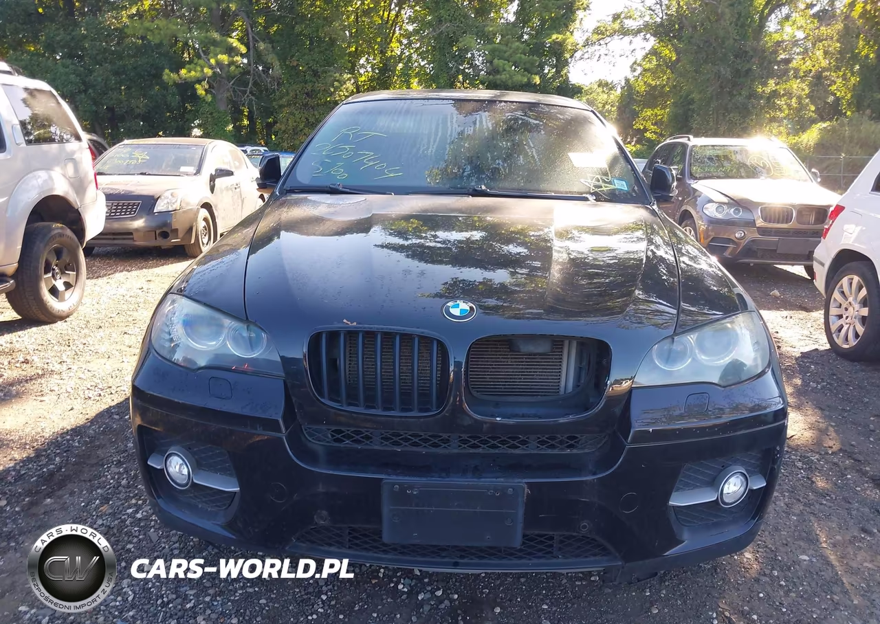 2011 BMW X6 xDrive35I VIN:5UXFG2C59BLX06781 - 6