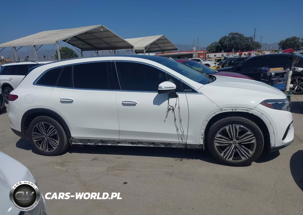 2023 Mercedes-Benz Eqs 450+ Suv VIN:4JGDM2DB8PA009218 - 13