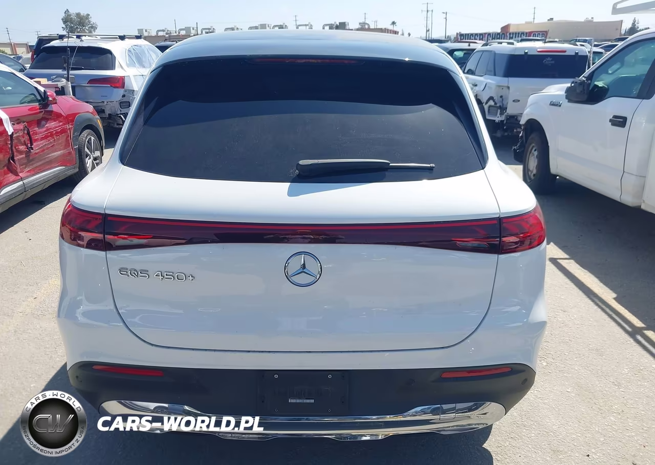 2023 Mercedes-Benz Eqs 450+ Suv VIN:4JGDM2DB8PA009218 - 16