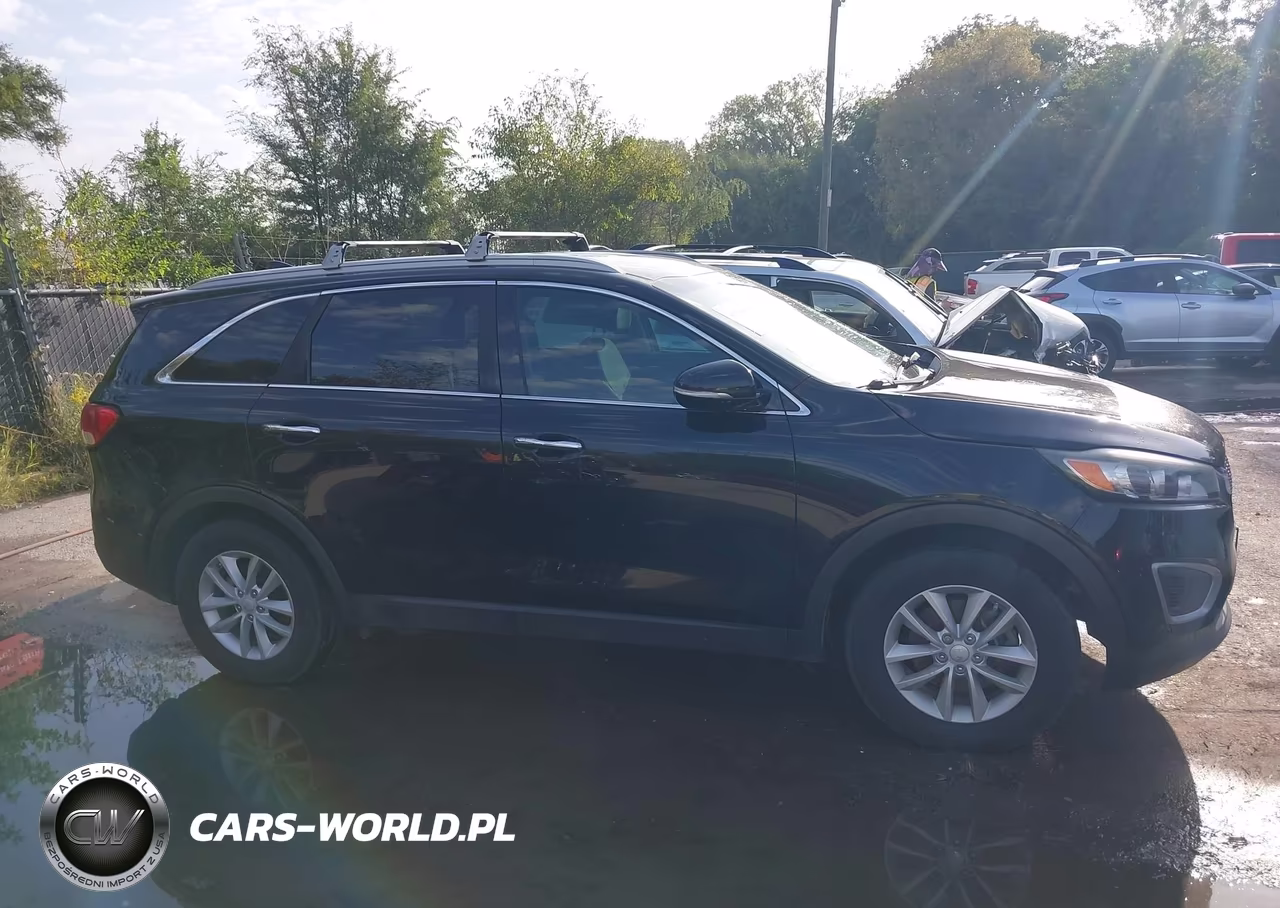 2017 Kia Sorento 2.4L Lx VIN:5XYPG4A31HG329743 - 13