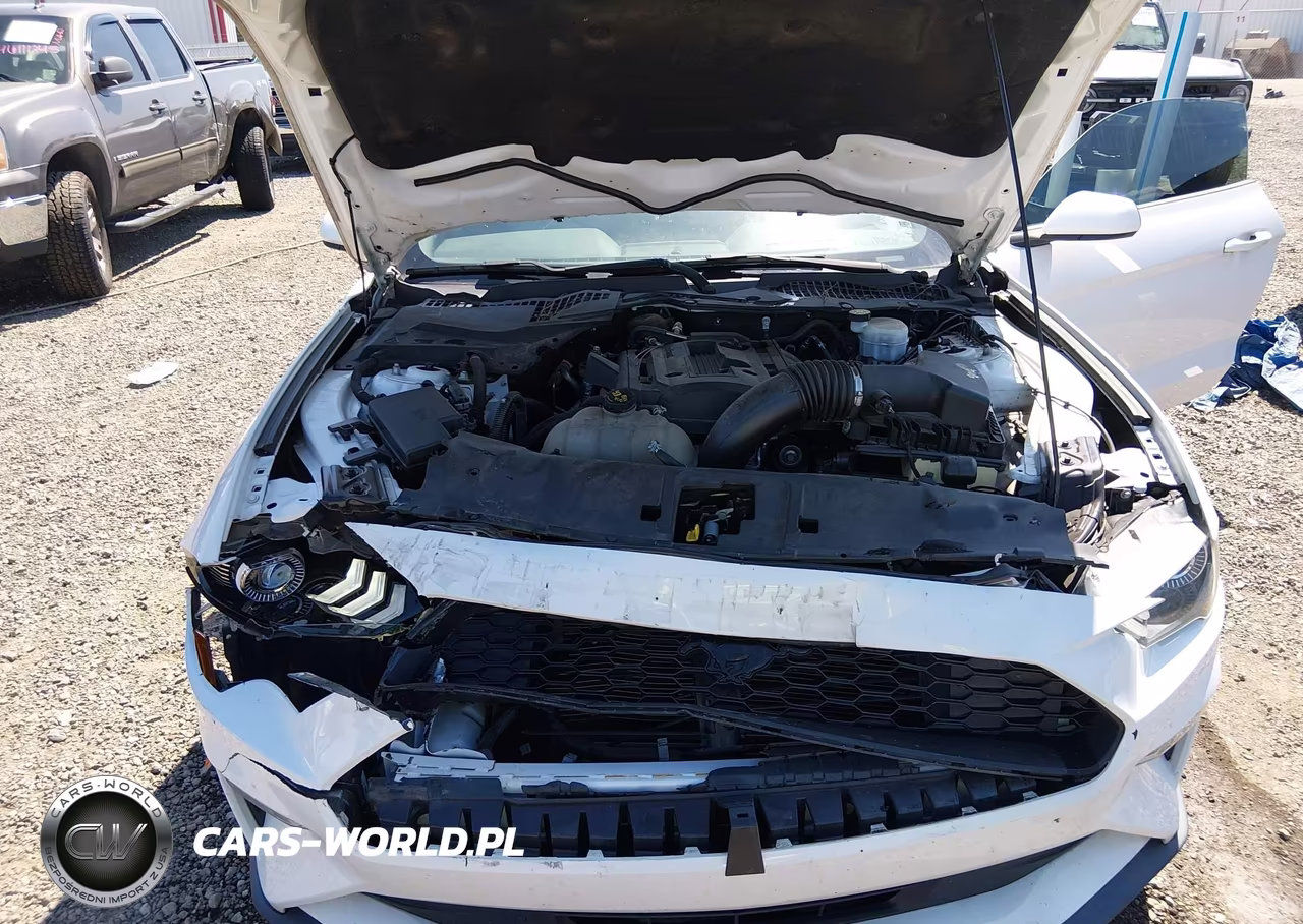 2020 Ford Mustang Ecoboost Fastback VIN:1FA6P8TH6L5158586 - 10