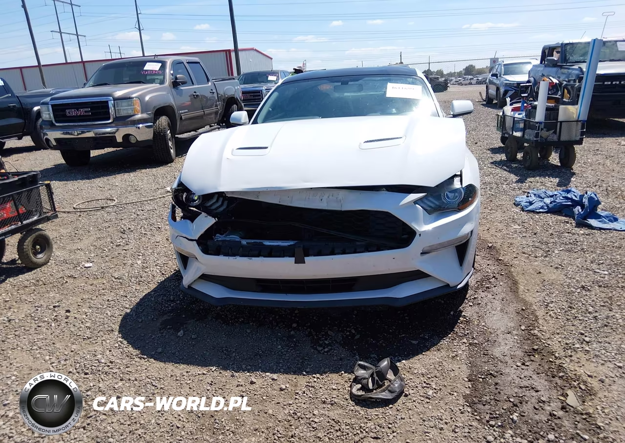 2020 Ford Mustang Ecoboost Fastback VIN:1FA6P8TH6L5158586 - 13