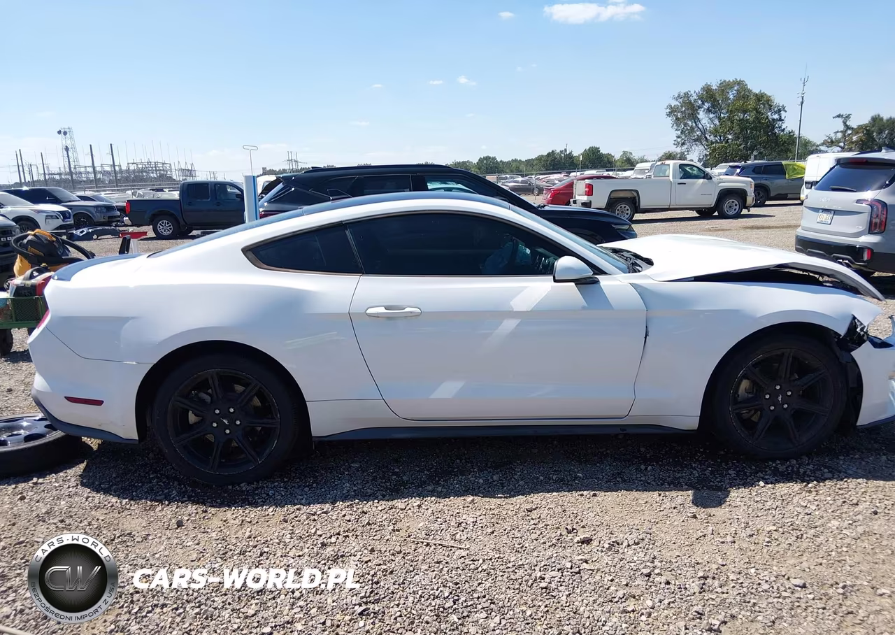 2020 Ford Mustang Ecoboost Fastback VIN:1FA6P8TH6L5158586 - 14