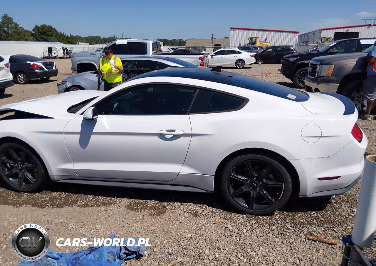 2020 Ford Mustang Ecoboost Fastback VIN:1FA6P8TH6L5158586 - 15
