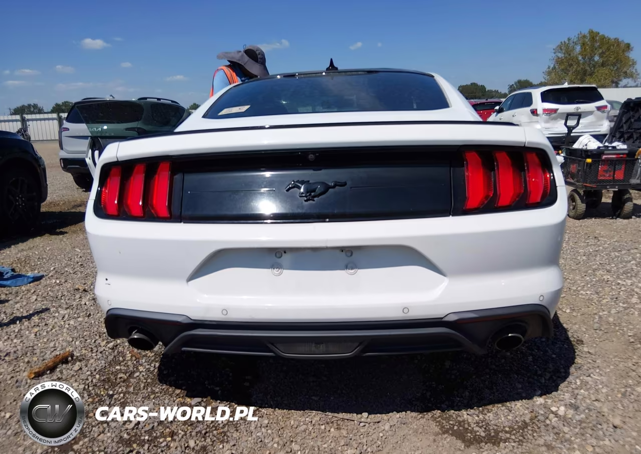 2020 Ford Mustang Ecoboost Fastback VIN:1FA6P8TH6L5158586 - 17