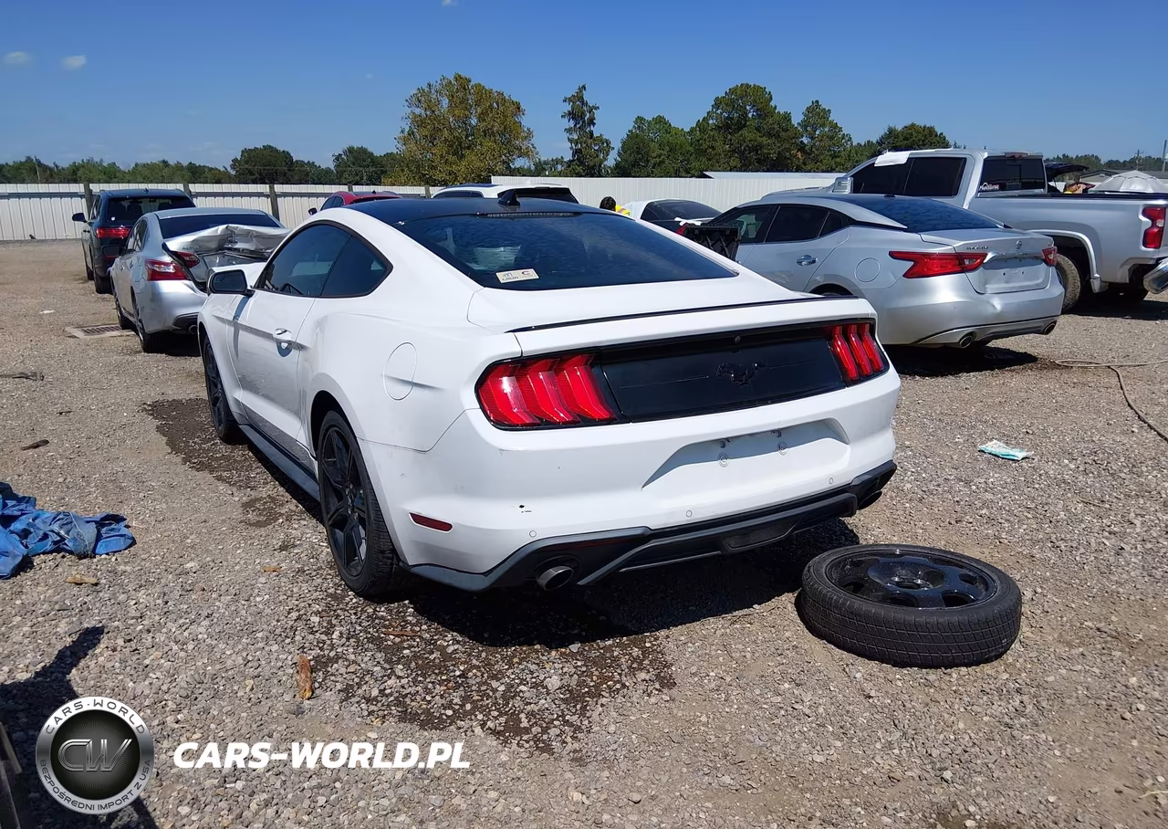2020 Ford Mustang Ecoboost Fastback VIN:1FA6P8TH6L5158586 - 3