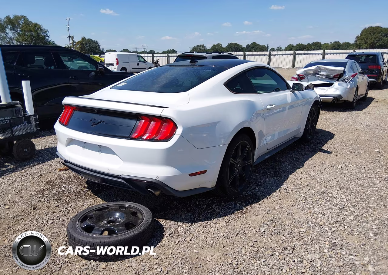 2020 Ford Mustang Ecoboost Fastback VIN:1FA6P8TH6L5158586 - 4
