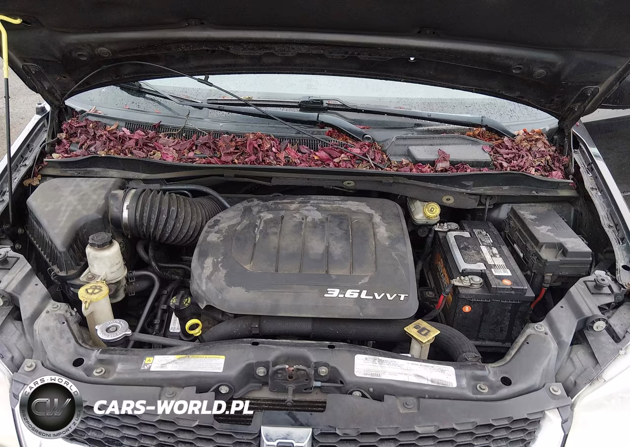 2012 Dodge Grand Caravan Sxt VIN:2C4RDGCG2CR319648 - 10