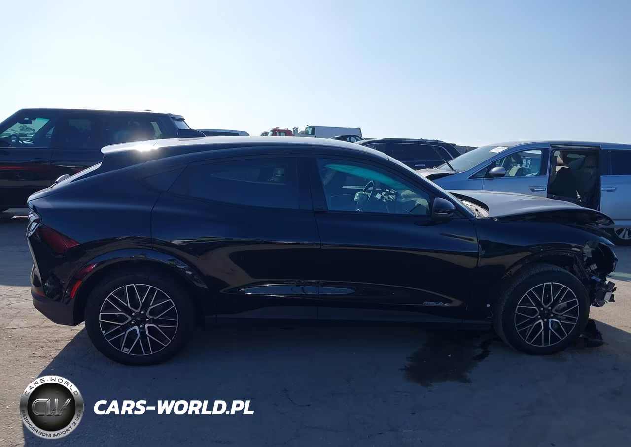 2025 Ford Mustang Mach-E Premium VIN:3FMTK3R7XSMA28862 - 14