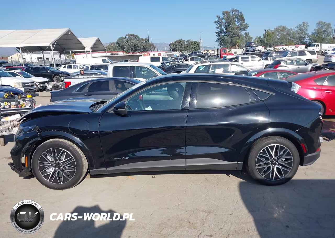 2025 Ford Mustang Mach-E Premium VIN:3FMTK3R7XSMA28862 - 15