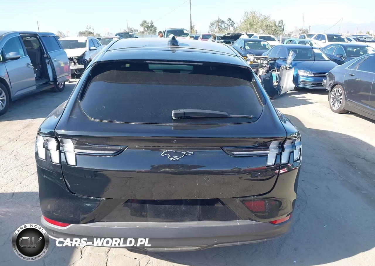 2025 Ford Mustang Mach-E Premium VIN:3FMTK3R7XSMA28862 - 17