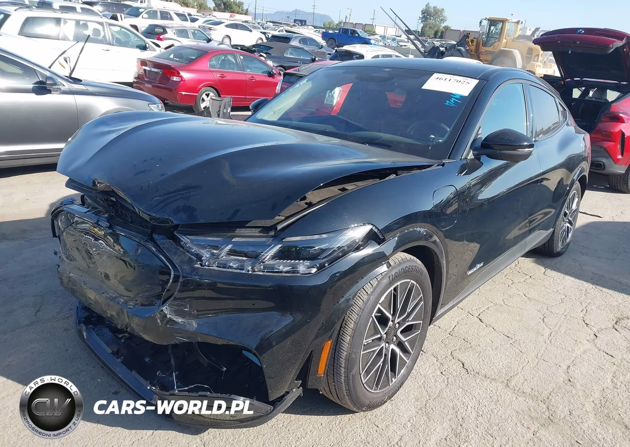 2025 Ford Mustang Mach-E Premium VIN:3FMTK3R7XSMA28862 - 2