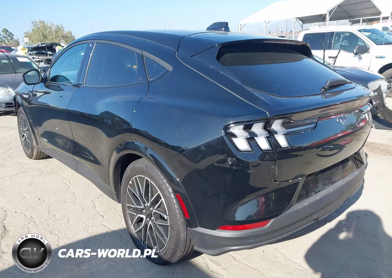 2025 Ford Mustang Mach-E Premium VIN:3FMTK3R7XSMA28862 - 3
