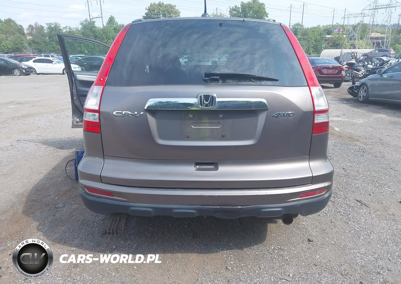 2010 Honda Cr-V Ex-L VIN:5J6RE4H72AL083989 - 6