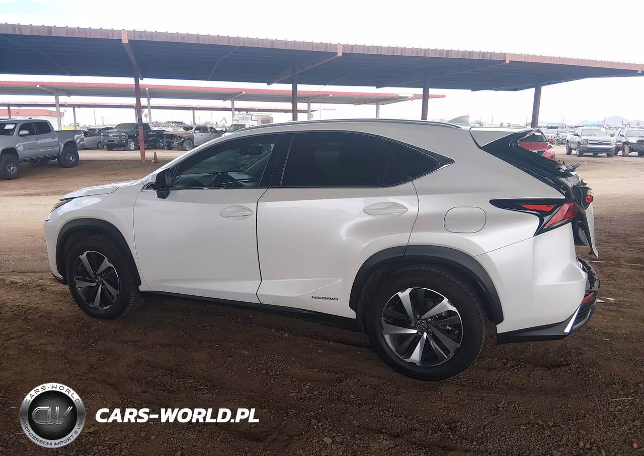 2018 Lexus Nx 300H VIN:JTJBJRBZ8J2088319 - 13