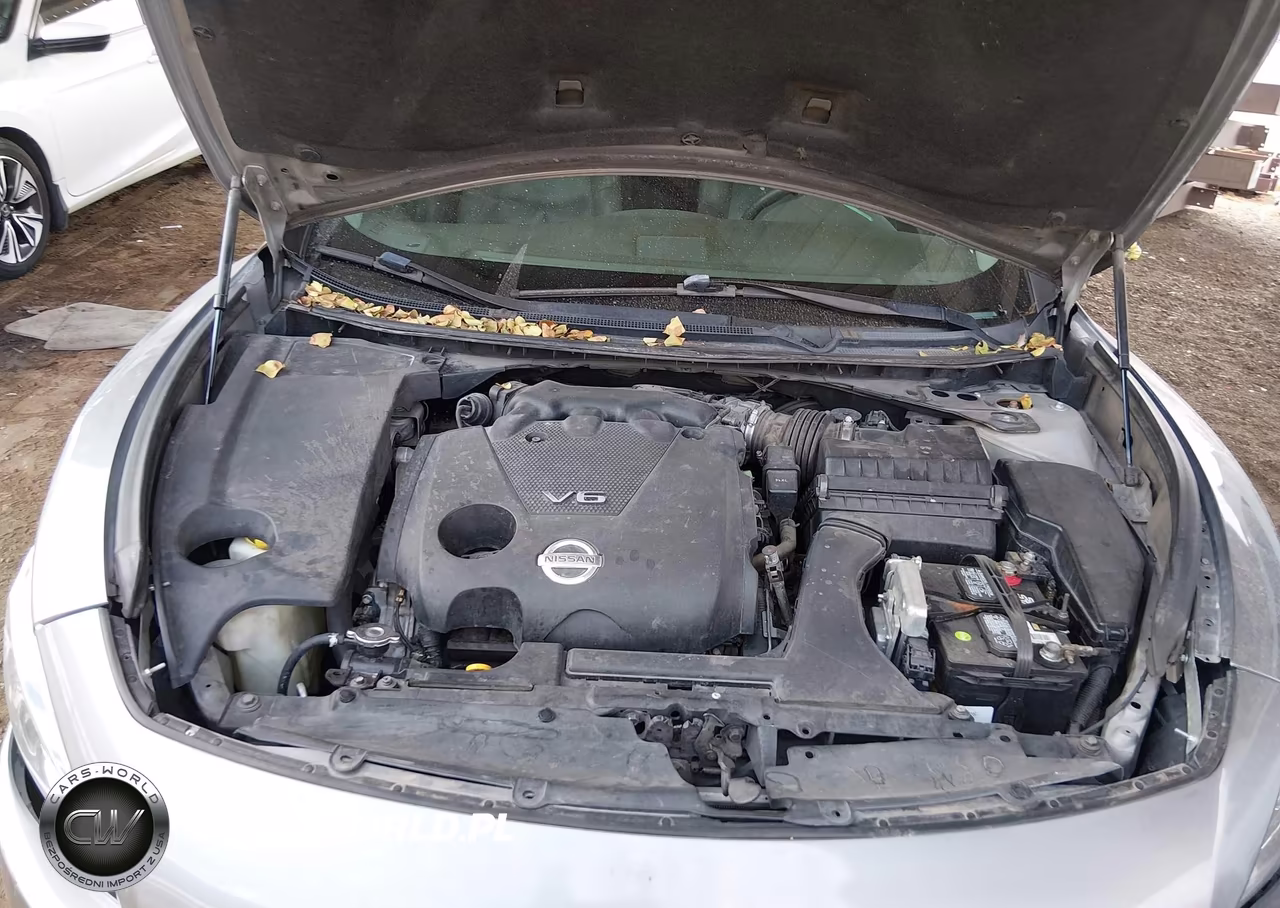 2009 Nissan Maxima 3.5 Sv VIN:1N4AA51E19C844199 - 10