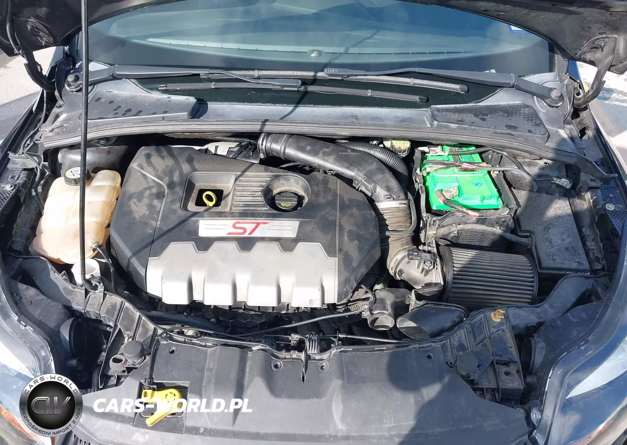 2013 Ford Focus St VIN:1FADP3L95DL185889 - 10