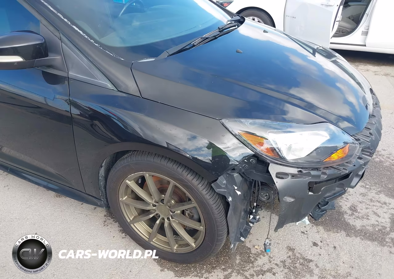 2013 Ford Focus St VIN:1FADP3L95DL185889 - 14