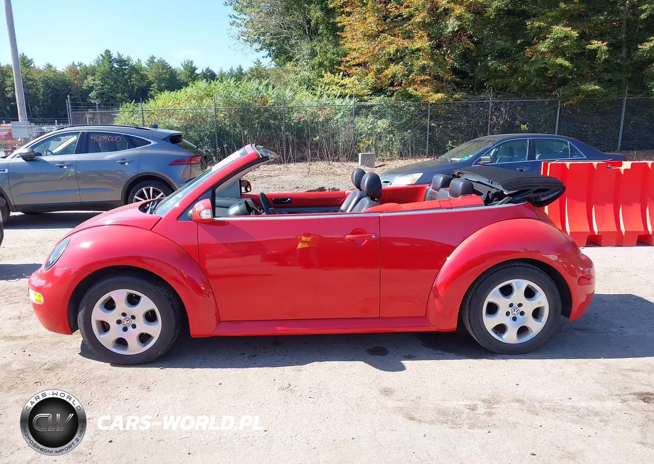 2003 Volkswagen New Beetle Gls VIN:3VWCK21Y63M318050 - 12