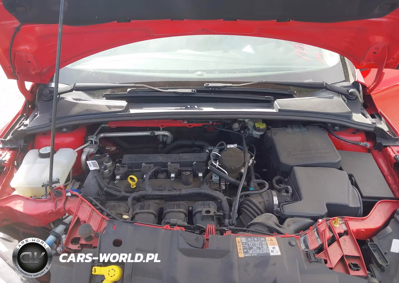 2016 Ford Focus Se VIN:1FADP3K24GL256251 - 10