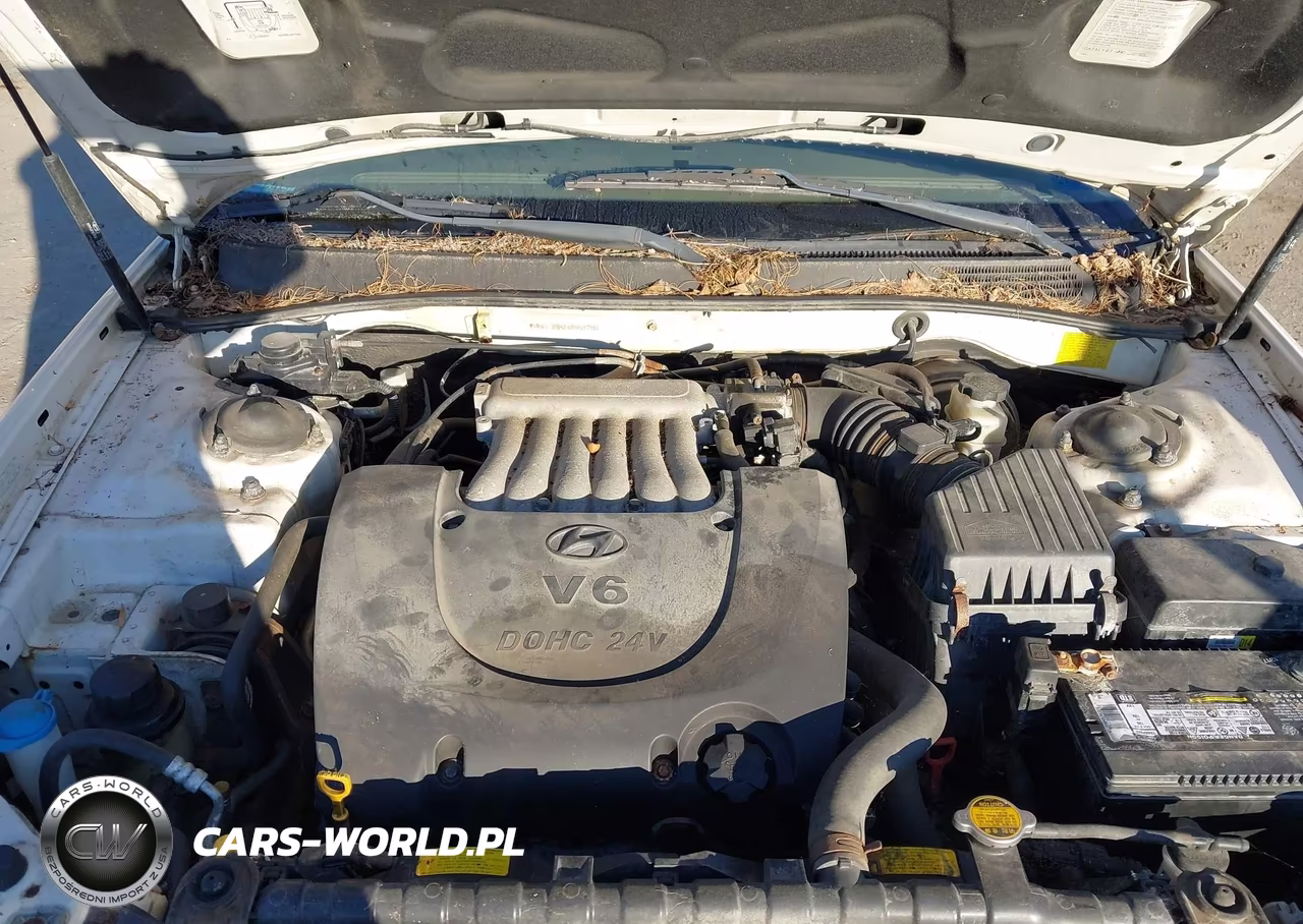 2004 Hyundai Sonata Gls-Lx VIN:KMHWF35H24A961798 - 10