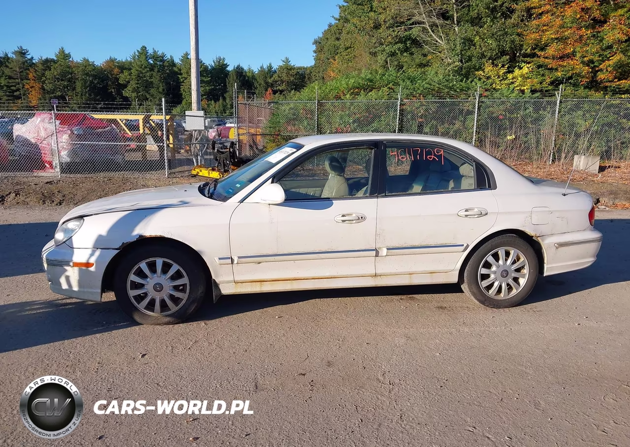 2004 Hyundai Sonata Gls-Lx VIN:KMHWF35H24A961798 - 12