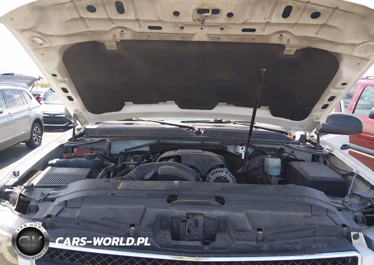 2010 Chevrolet Tahoe Ls VIN:1GNMCAE31AR226442 - 10