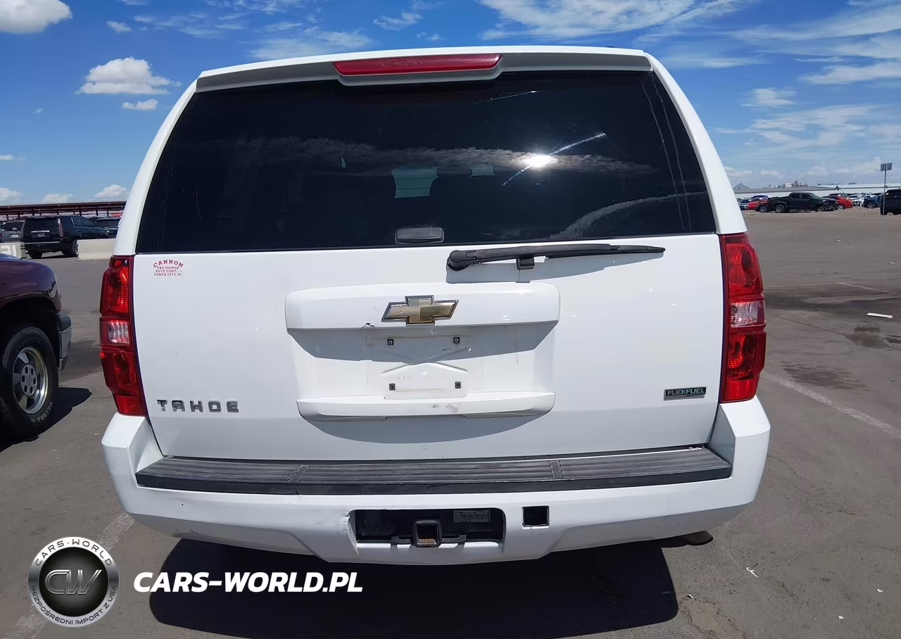 2010 Chevrolet Tahoe Ls VIN:1GNMCAE31AR226442 - 16