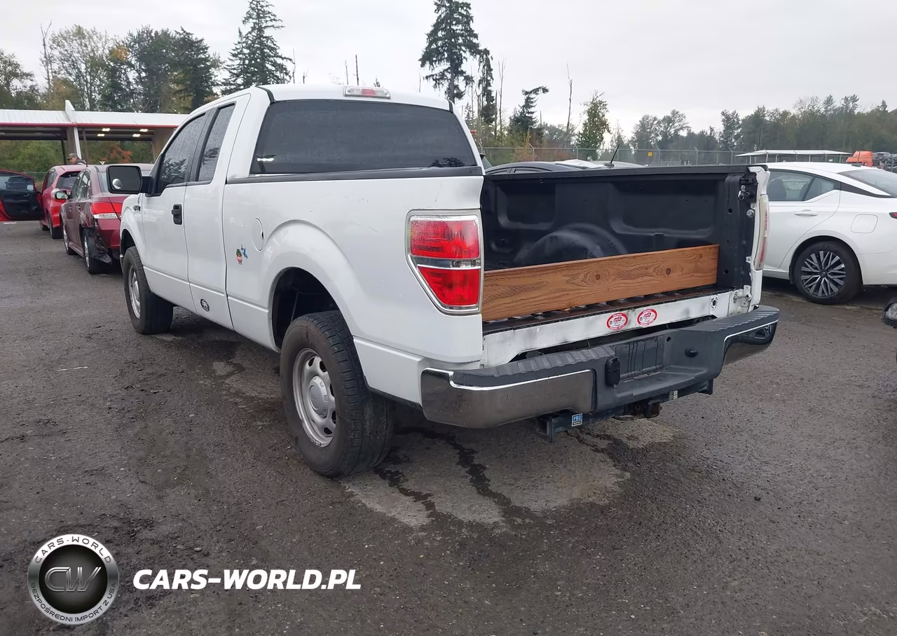 2010 Ford F-150 Fx2 Sport-Lariat-Xl-Xlt VIN:1FTFX1CV1AKE71597 - 3