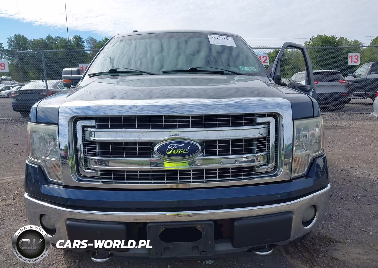 2013 Ford F-150 Xlt VIN:1FTFX1EF2DFA03199 - 13