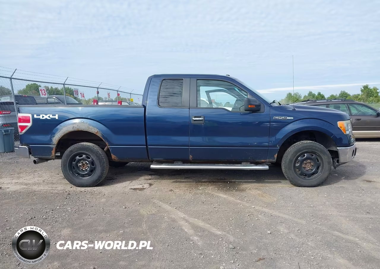 2013 Ford F-150 Xlt VIN:1FTFX1EF2DFA03199 - 14