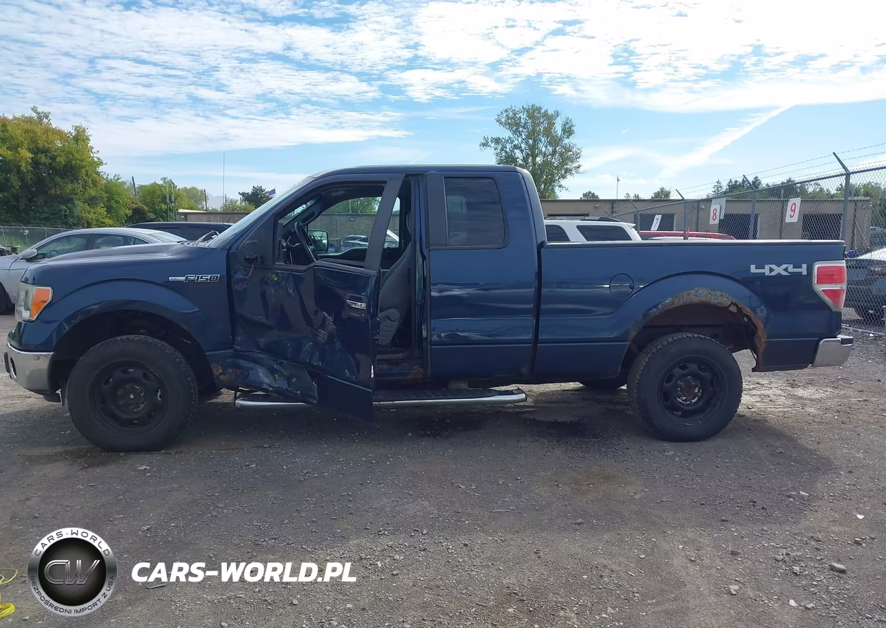 2013 Ford F-150 Xlt VIN:1FTFX1EF2DFA03199 - 15