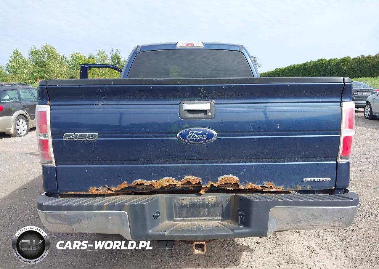 2013 Ford F-150 Xlt VIN:1FTFX1EF2DFA03199 - 17